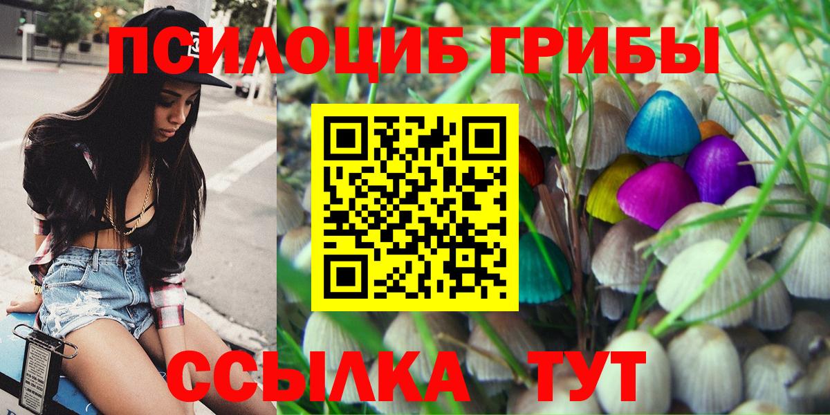 купить закладку  Вход с VPN  Ступино  Псилоцибиновые грибы GOLDEN TEACHER 
